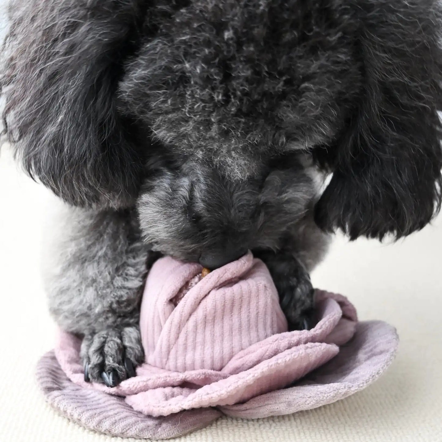 Peluche de fouille Cabbage POP - Lambwolf Collective
