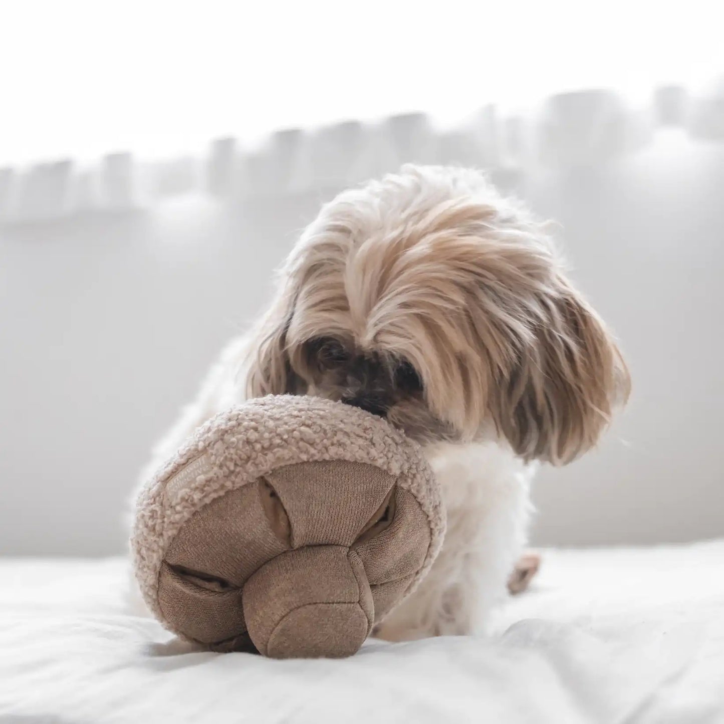 Peluche de fouille Mushroom GUU - Lambwolf Collective