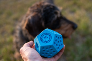Dodecaball, jouet distributeur de friandises - Kiwi Walker