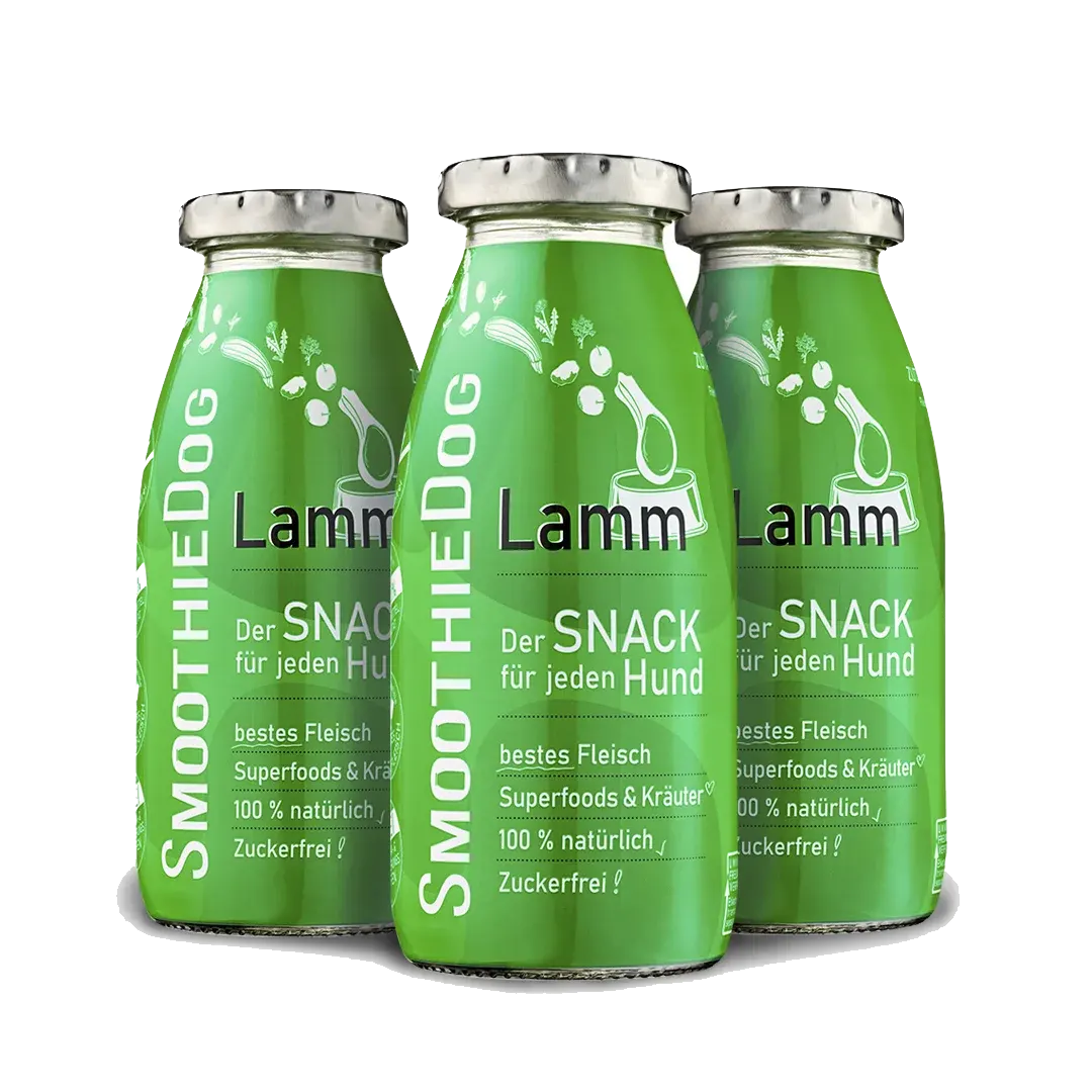 Smoothie classique - Smoothiedog