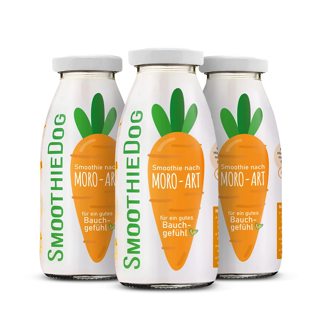 Smoothie Veggie/Fruits - Smoothiedog