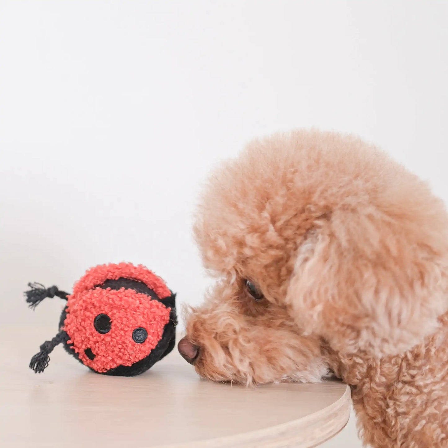 Peluche de fouille Coccinelle POP - Lambwolf Collective