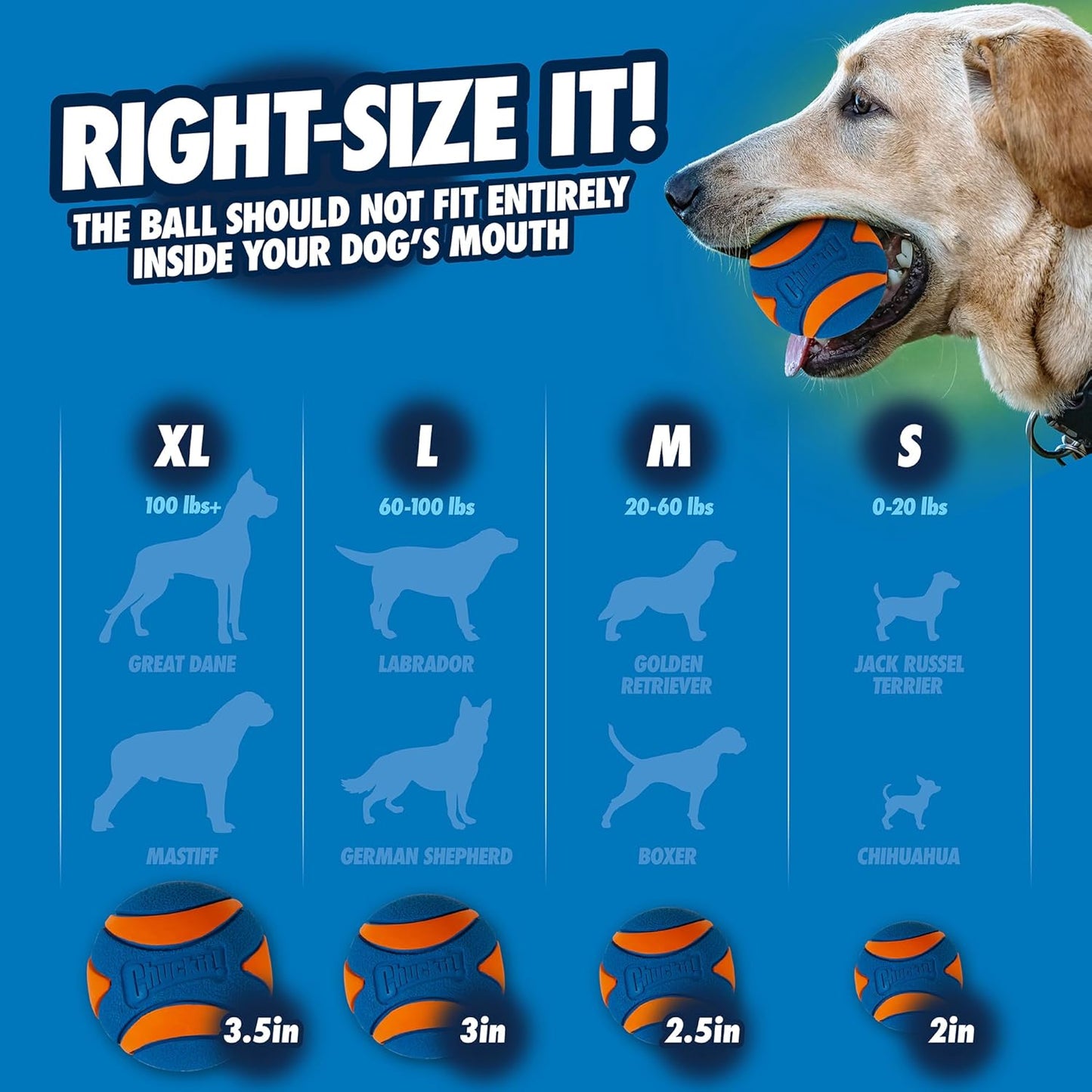 Balle Ultra Squeaker - Chuckit !