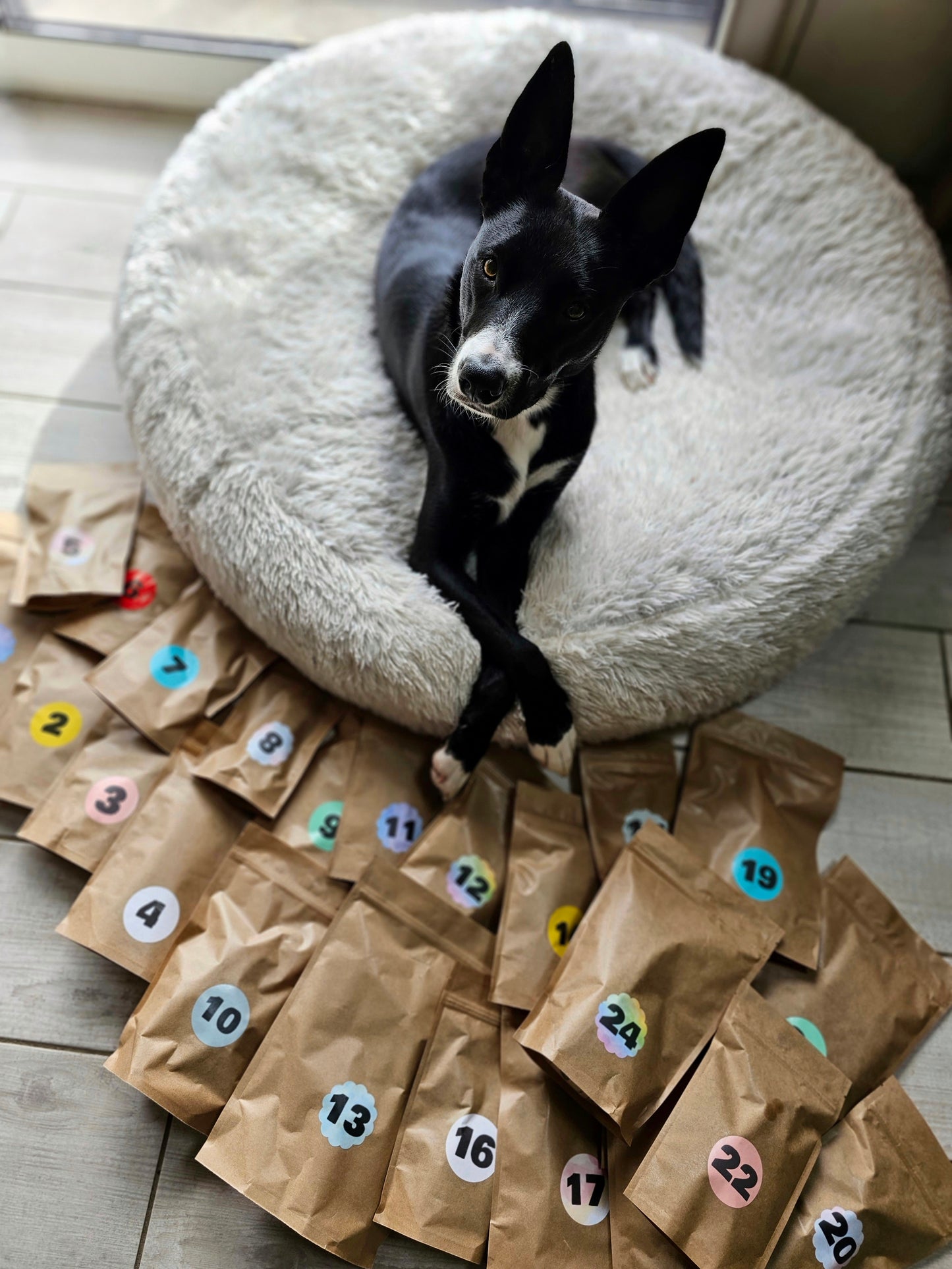 Box Calendrier de l'Avent pour chien XXL - 100% Mastication gourmande naturelle (livraison mi-novembre)