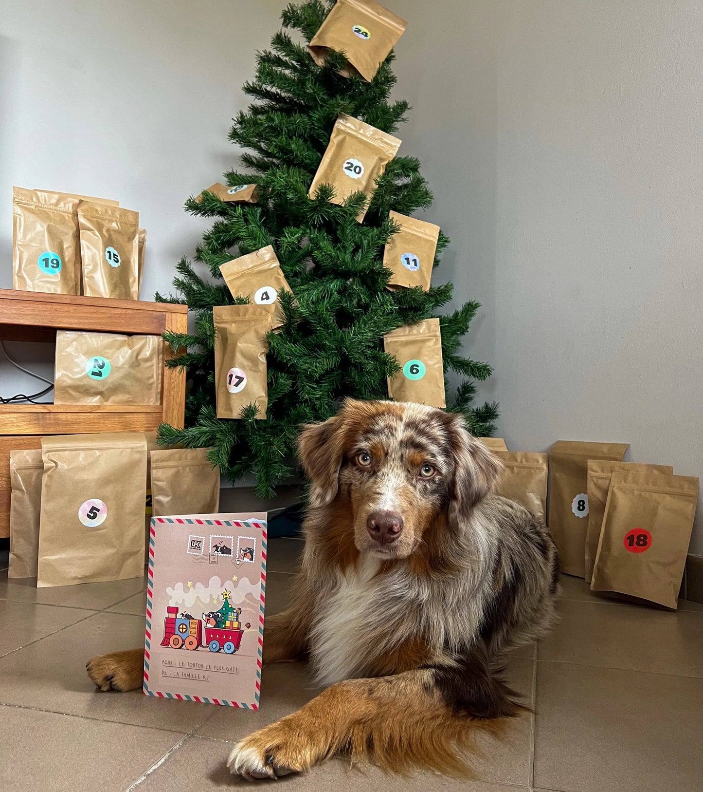 Box Calendrier de l'Avent pour chien XXL - 100% Mastication gourmande naturelle (livraison mi-novembre)