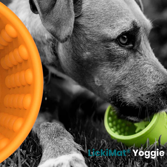 LickiMat® Yoggie Pot - Pot de léchage