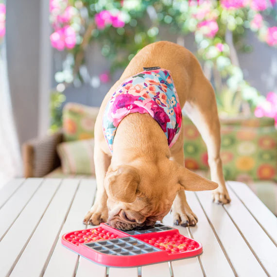 LickiMat® Slomo - Tapis de léchage