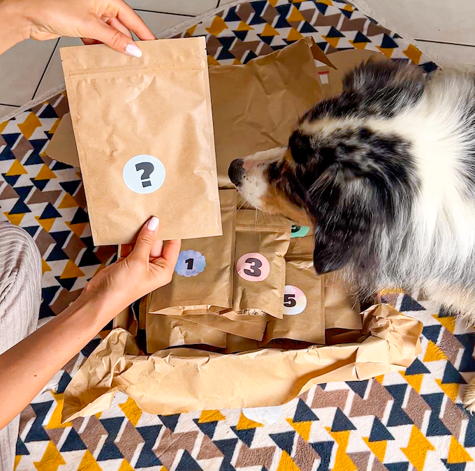 Box Calendrier de l'Avent pour chien XXL - 100% Mastication gourmande naturelle (livraison mi-novembre)