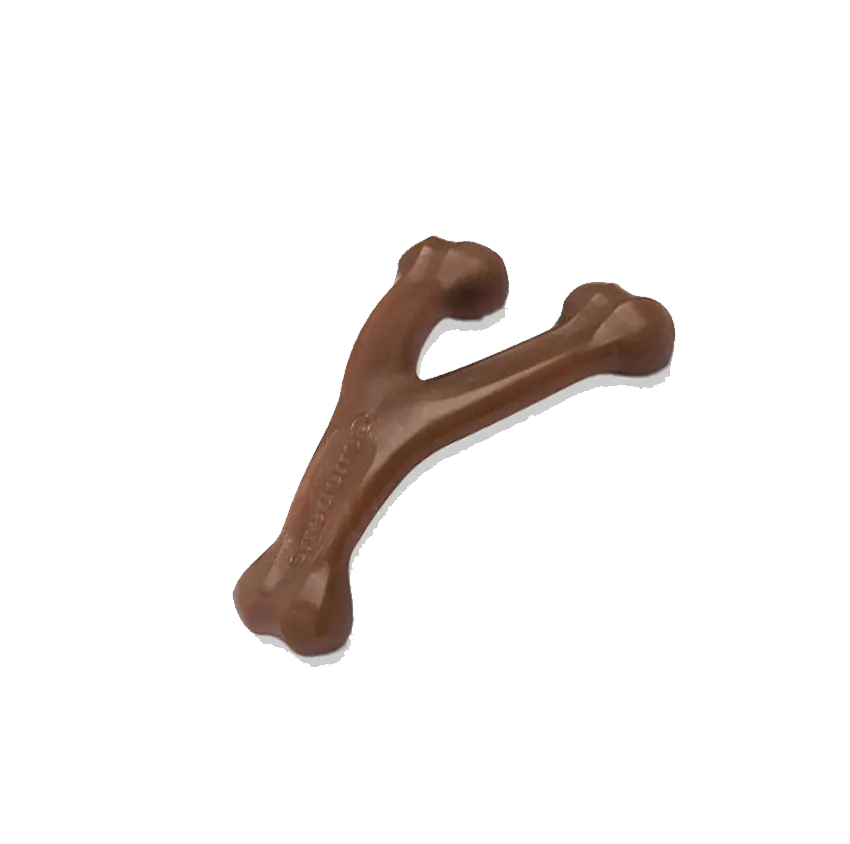Wishbone, jouet à mâcher - Benebone
