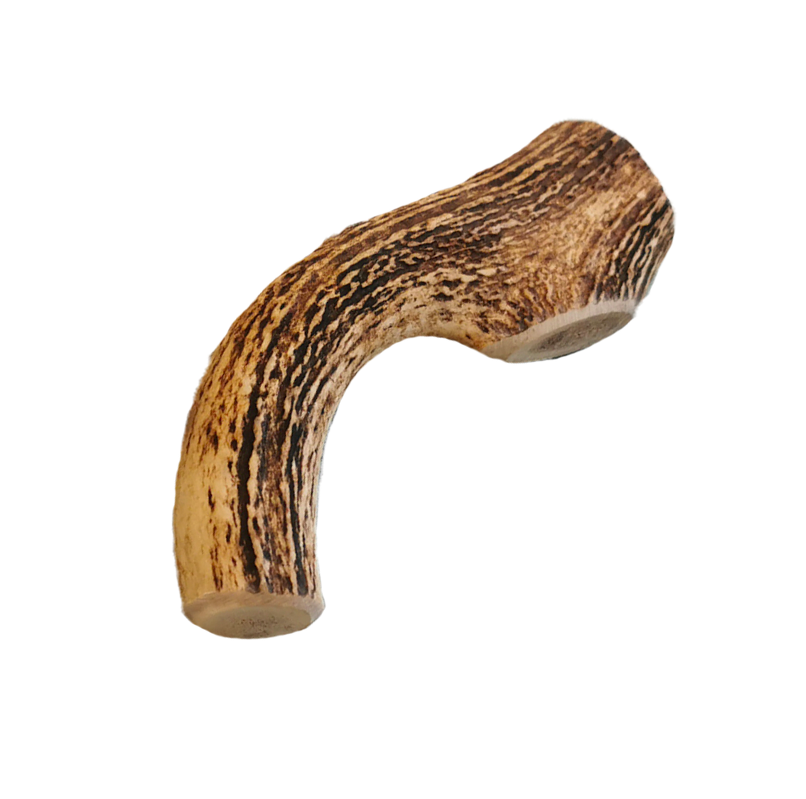 Bois de cerf entier