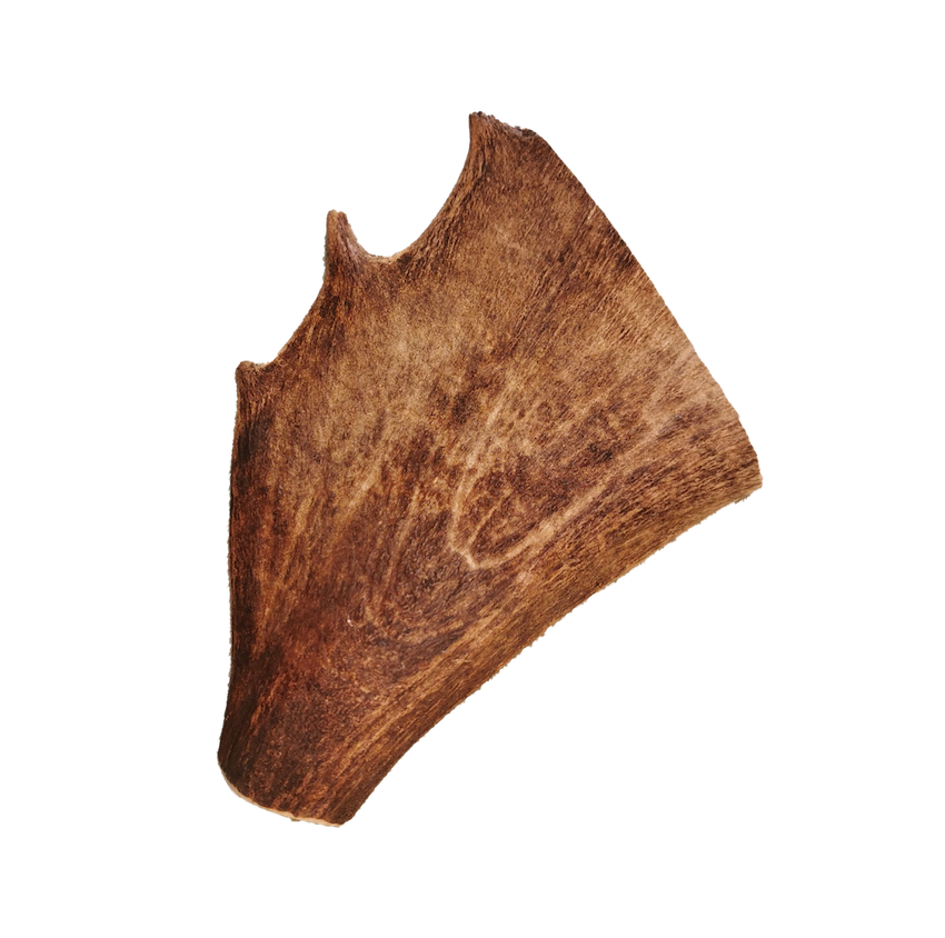 Bois de daim