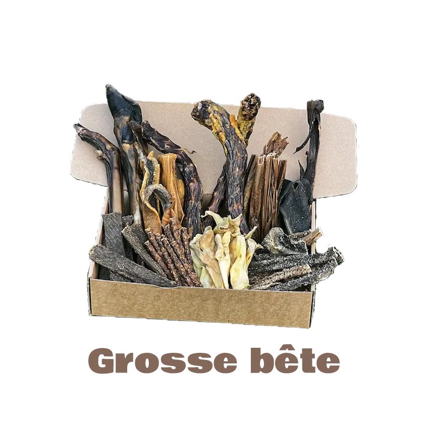 La Box Bidou Fragile - Grosse bête