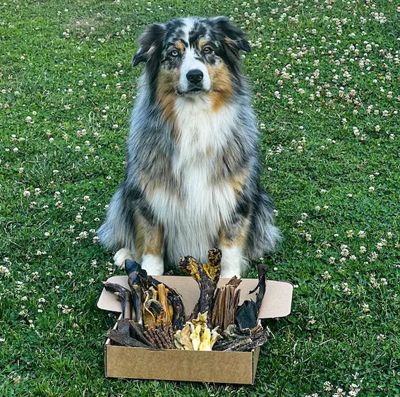 La Box Bidou Fragile - Grosse bête