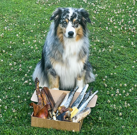 La Master Box d'Olive