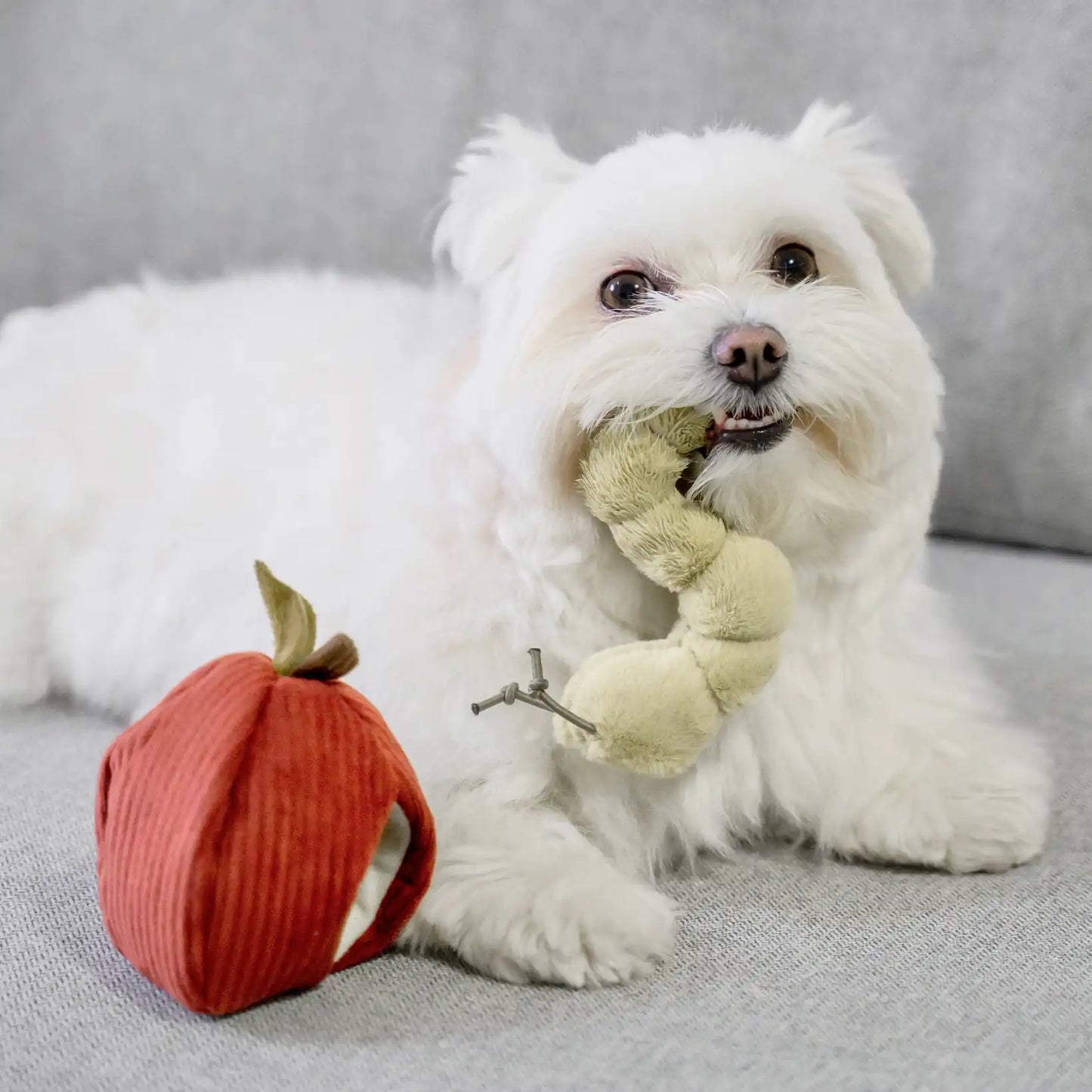 Peluche de fouille Pomme - Lambwolf Collective