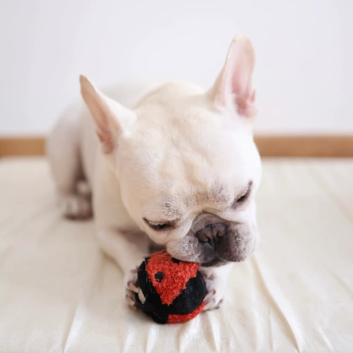 Peluche de fouille Coccinelle POP - Lambwolf Collective