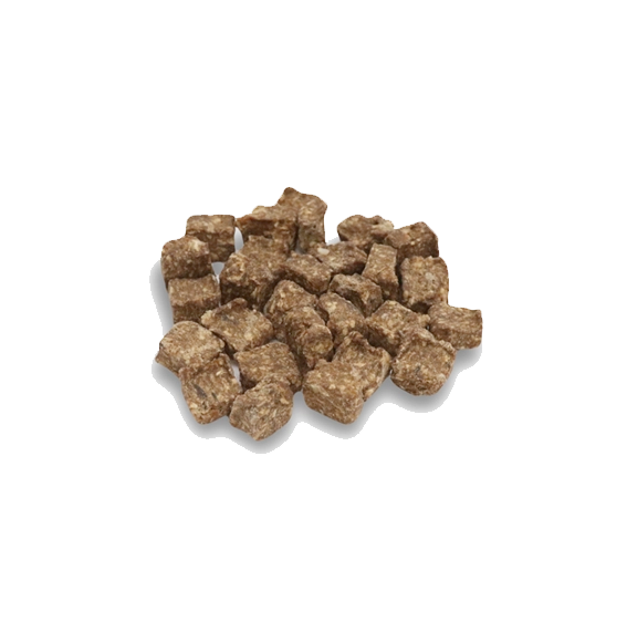 Friandises d'éducation - Poisson