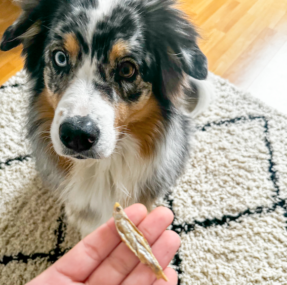 Petites Fritures : Mix de poissons