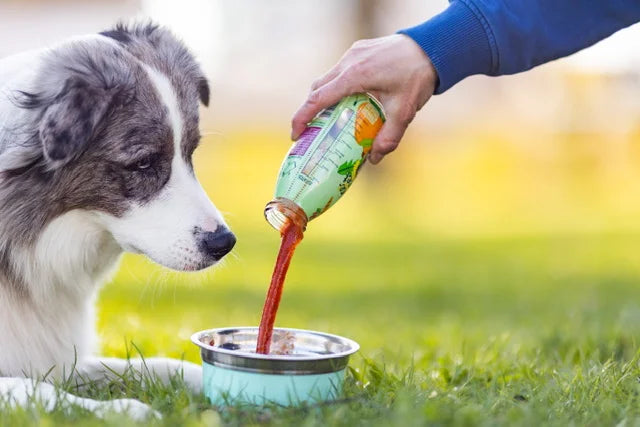 Smoothie Veggie/Fruits - Smoothiedog