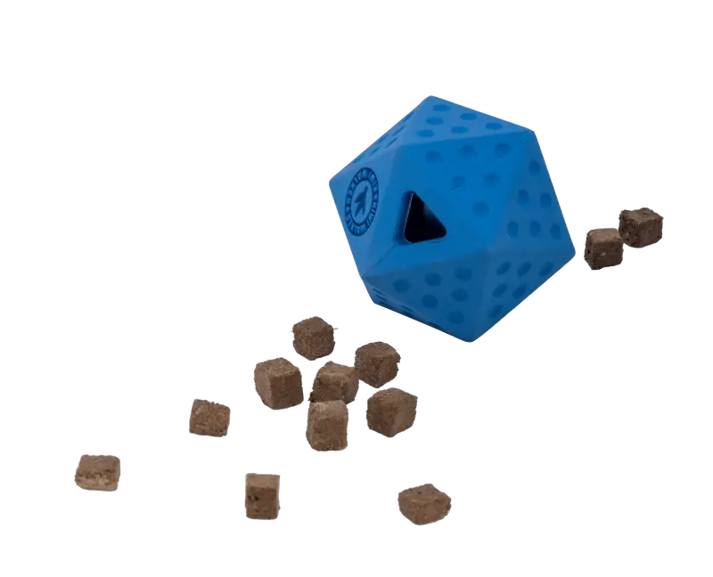 Icosaball, jouet distributeur de friandises - Kiwi Walker