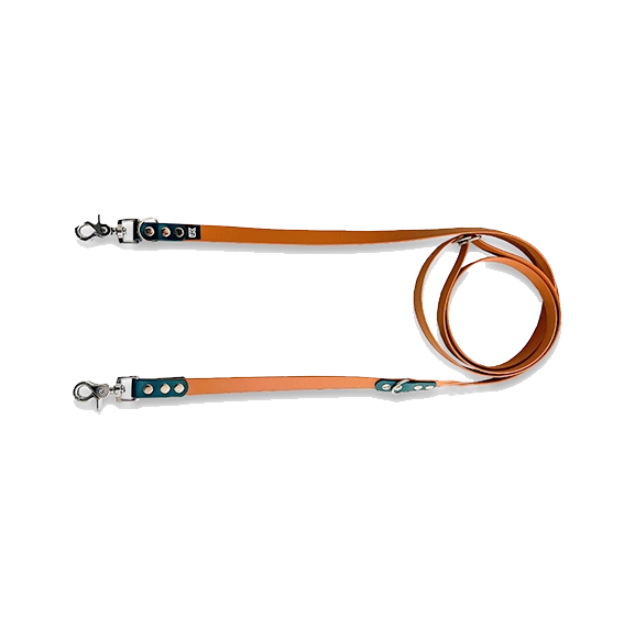 Laisse en biothane LFK - PeeweePaw