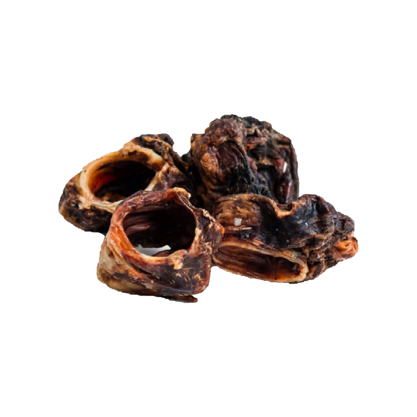 Larynx de boeuf