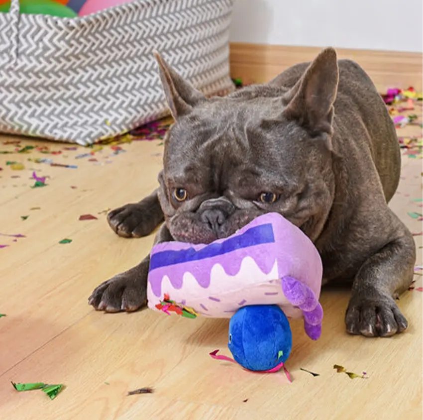 Peluche Gateau aux myrtilles, Pooch Sweats - HugSmart
