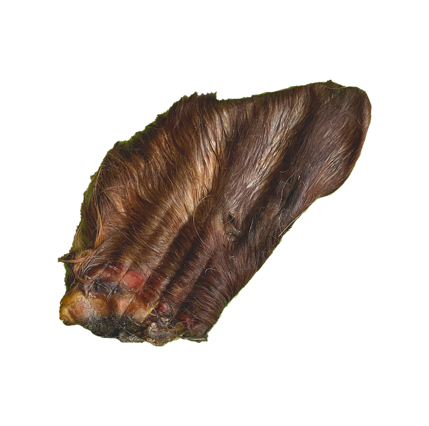Oreilles de boeuf avec poils
