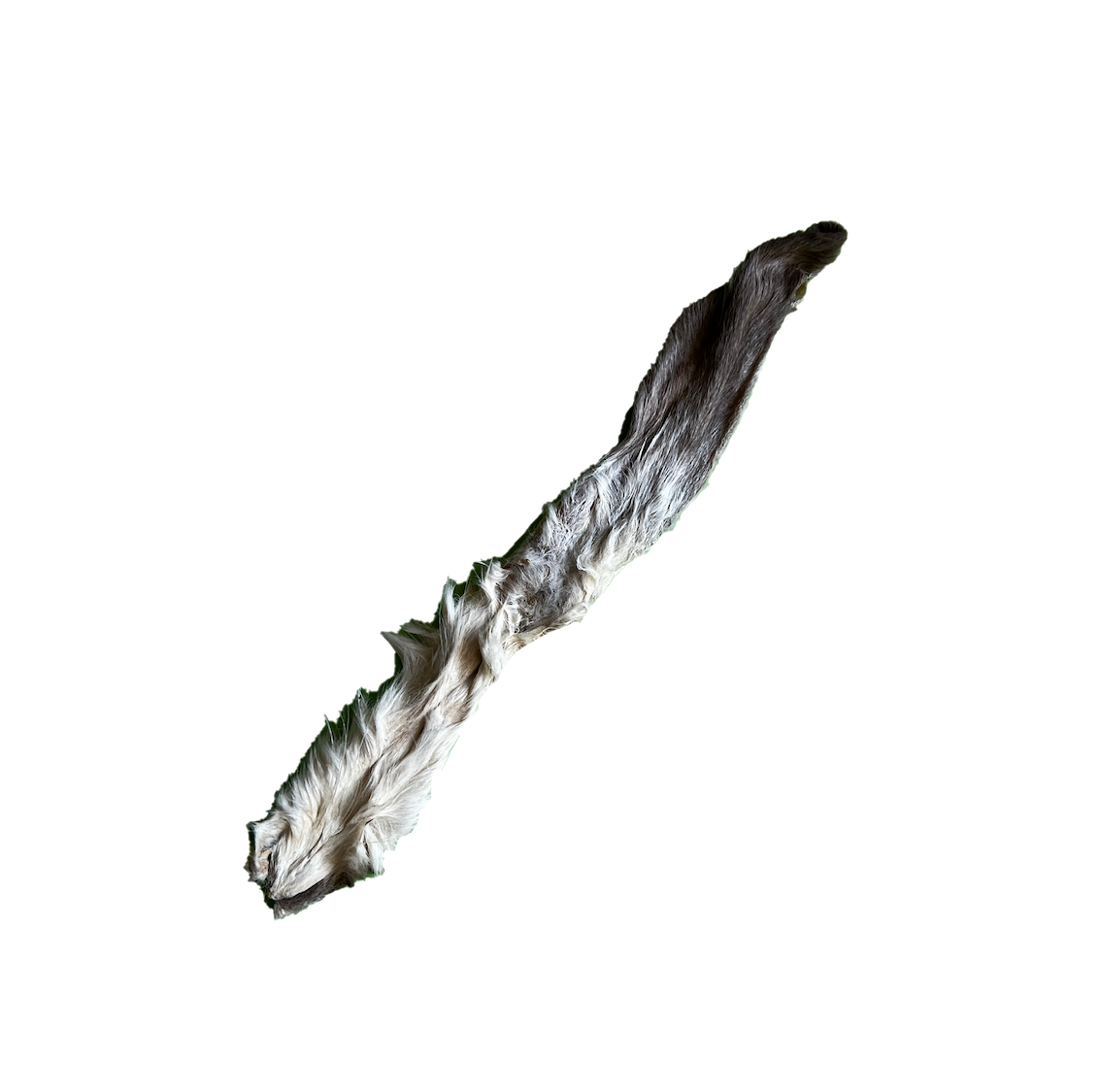 Oreilles de lapin avec poils