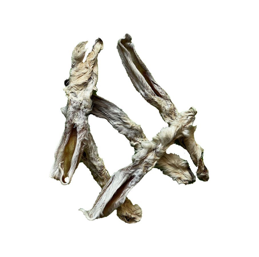 Oreilles de lapin avec poils