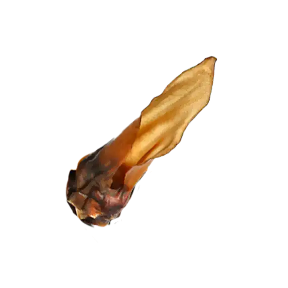 Oreilles de cerf