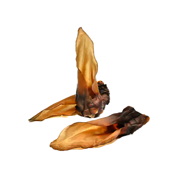 Oreilles de cerf