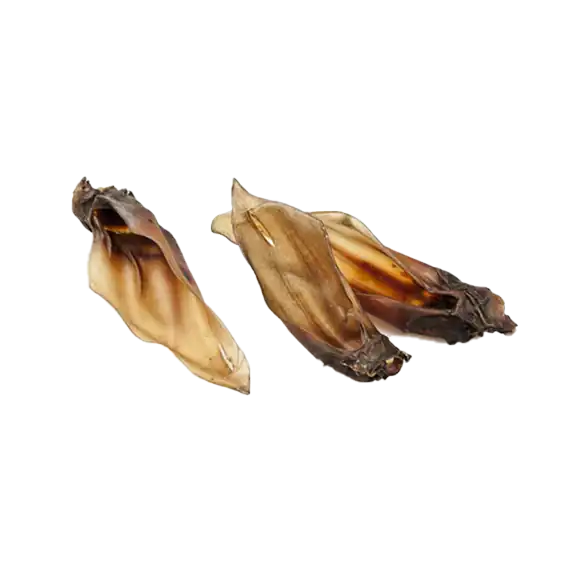 Oreilles de chevreuil