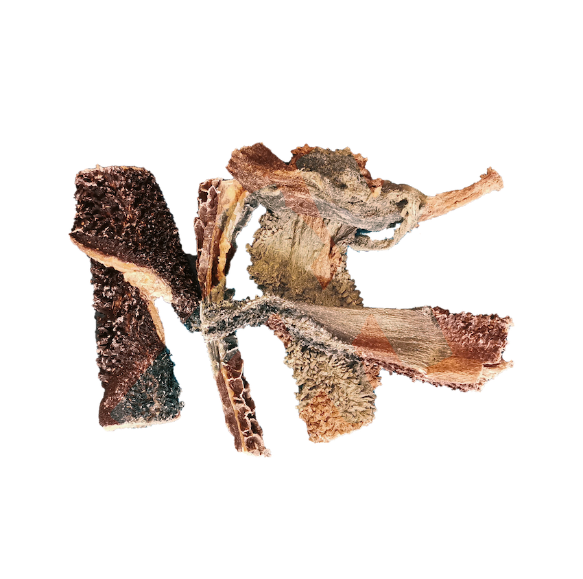 Tripes de boeuf