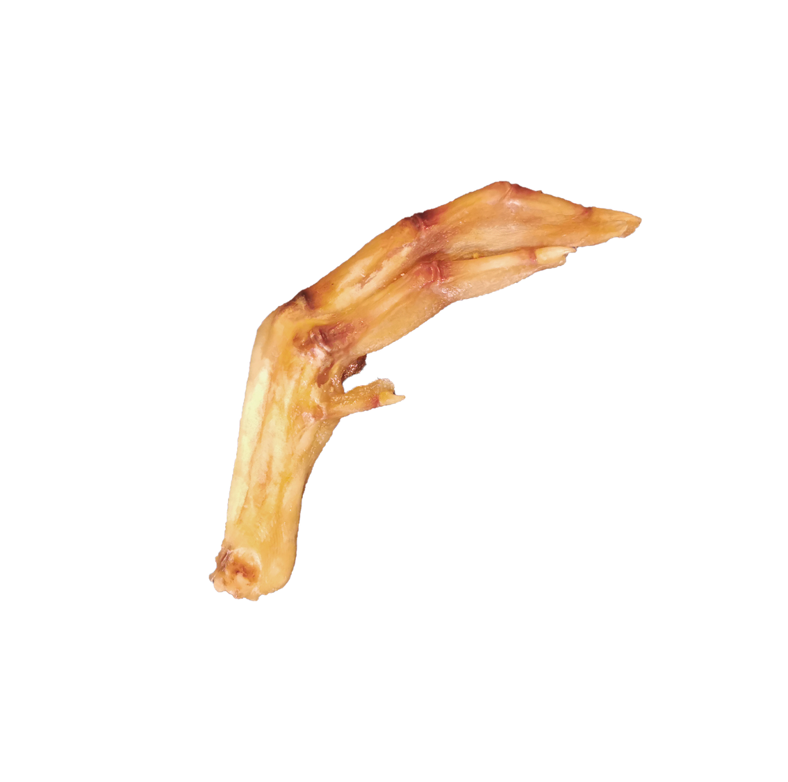 Pattes de canard