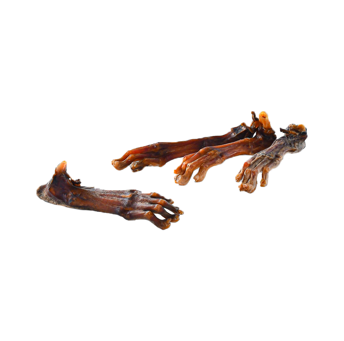 Pattes de lapin sans poils