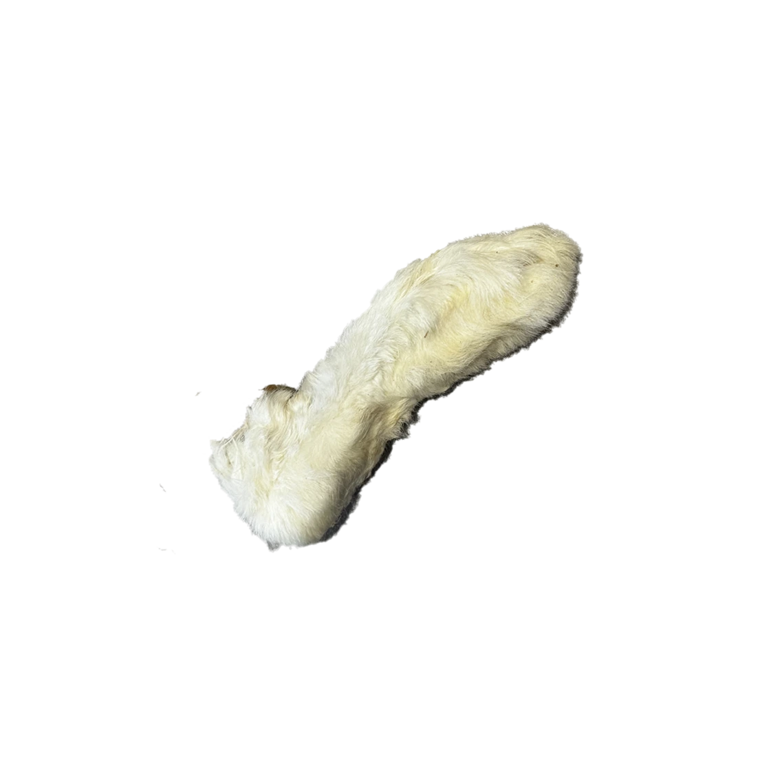 Pattes de lapin avec poils