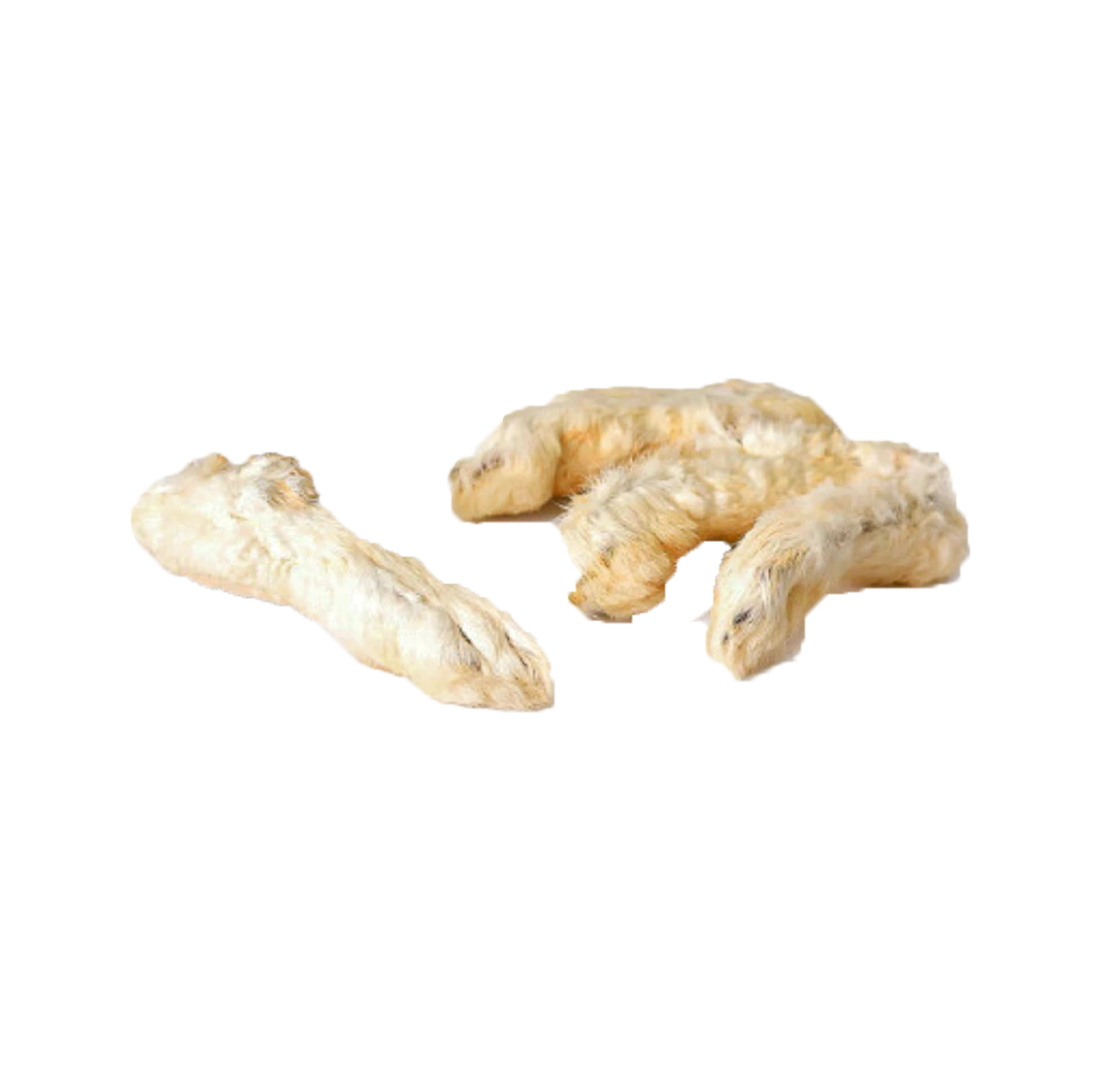 Pattes de lapin avec poils
