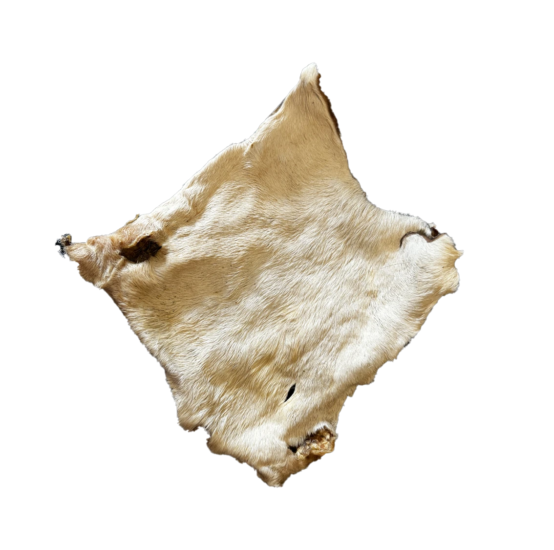 Plaques de boeuf avec poils - Grandes