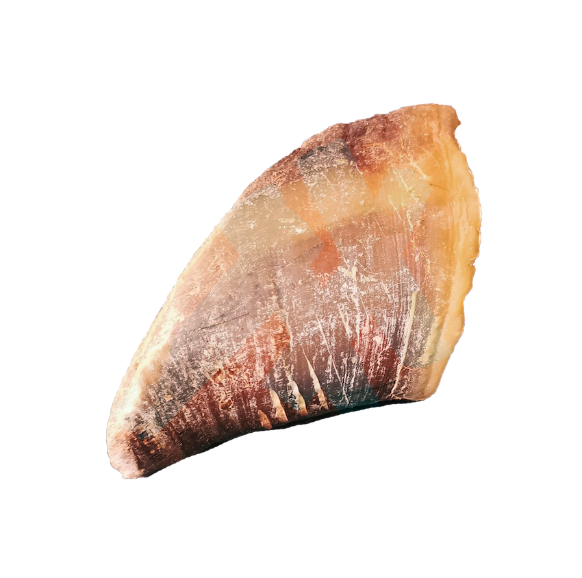 Sabots de boeuf