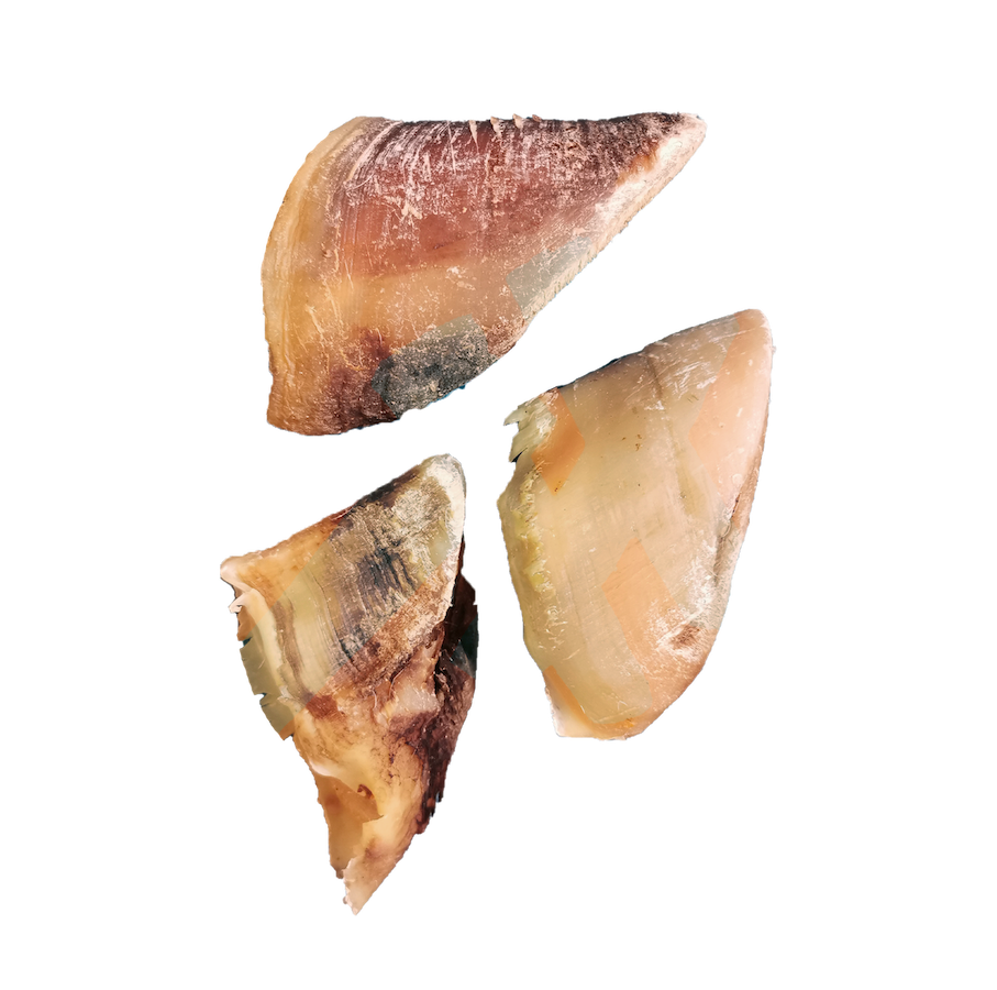Sabots de boeuf
