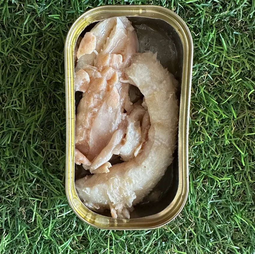 Conserves de poisson - Canumi pour chien