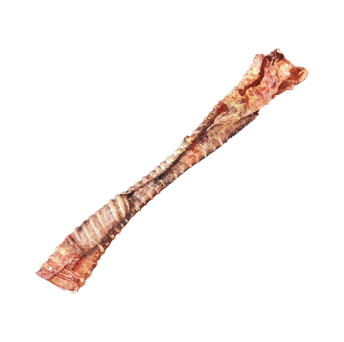 Trachées de boeuf