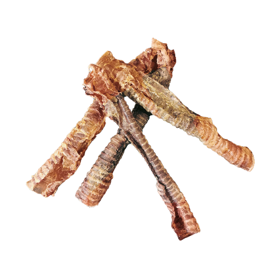 Trachées de boeuf