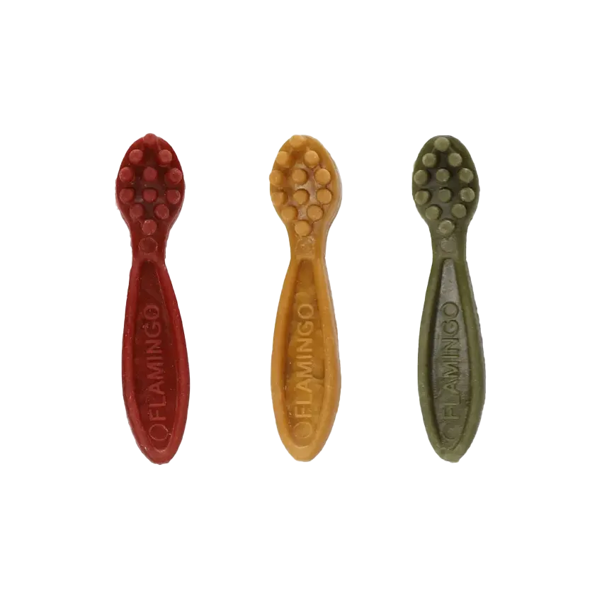 Friandises Végétales brosse à dent