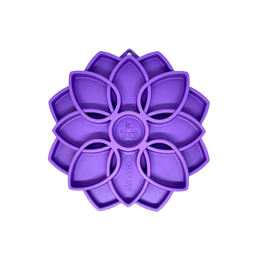 Plateau d'enrichissement Mandala eTray - Sodapup