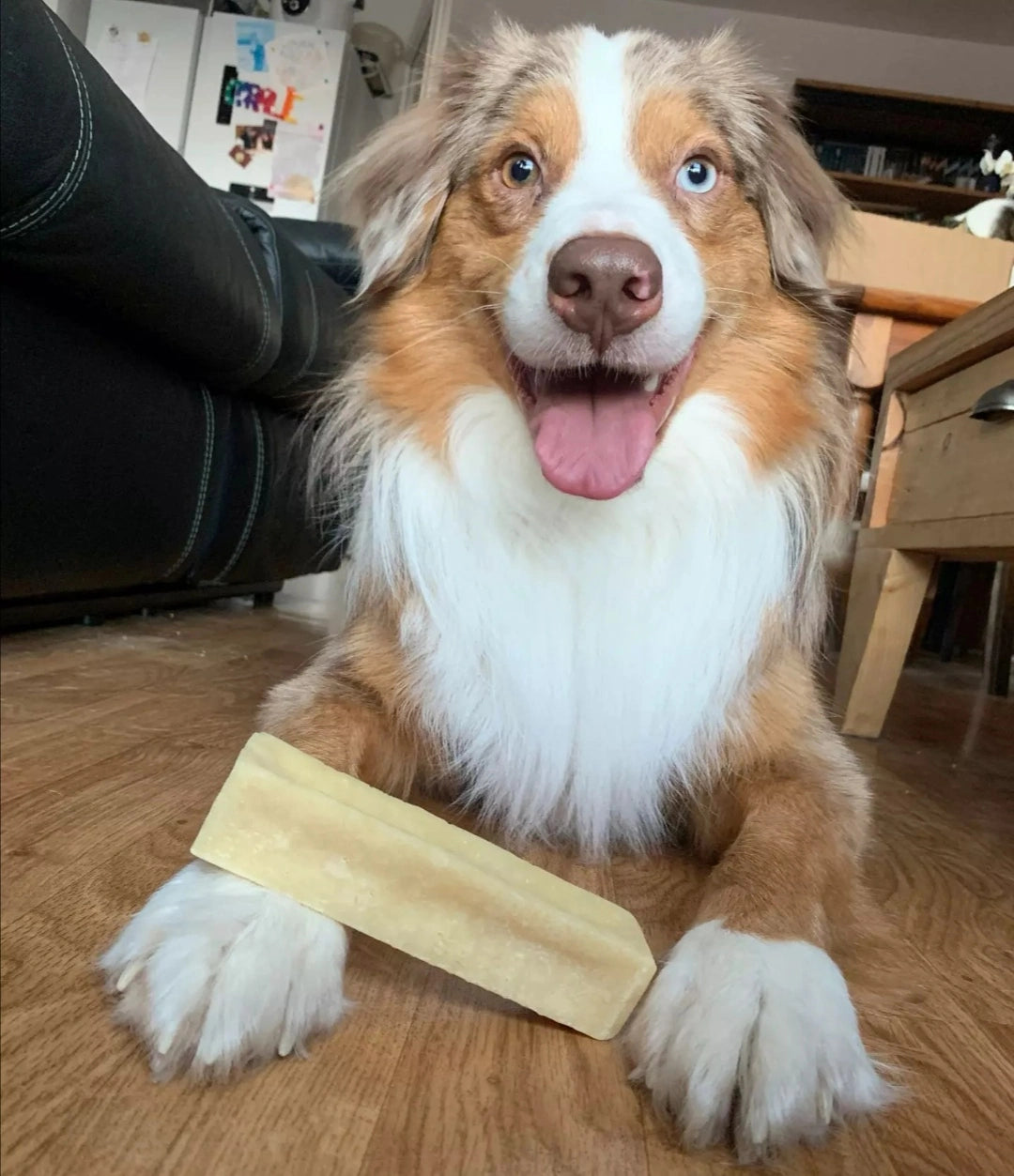 Fromage à mâcher