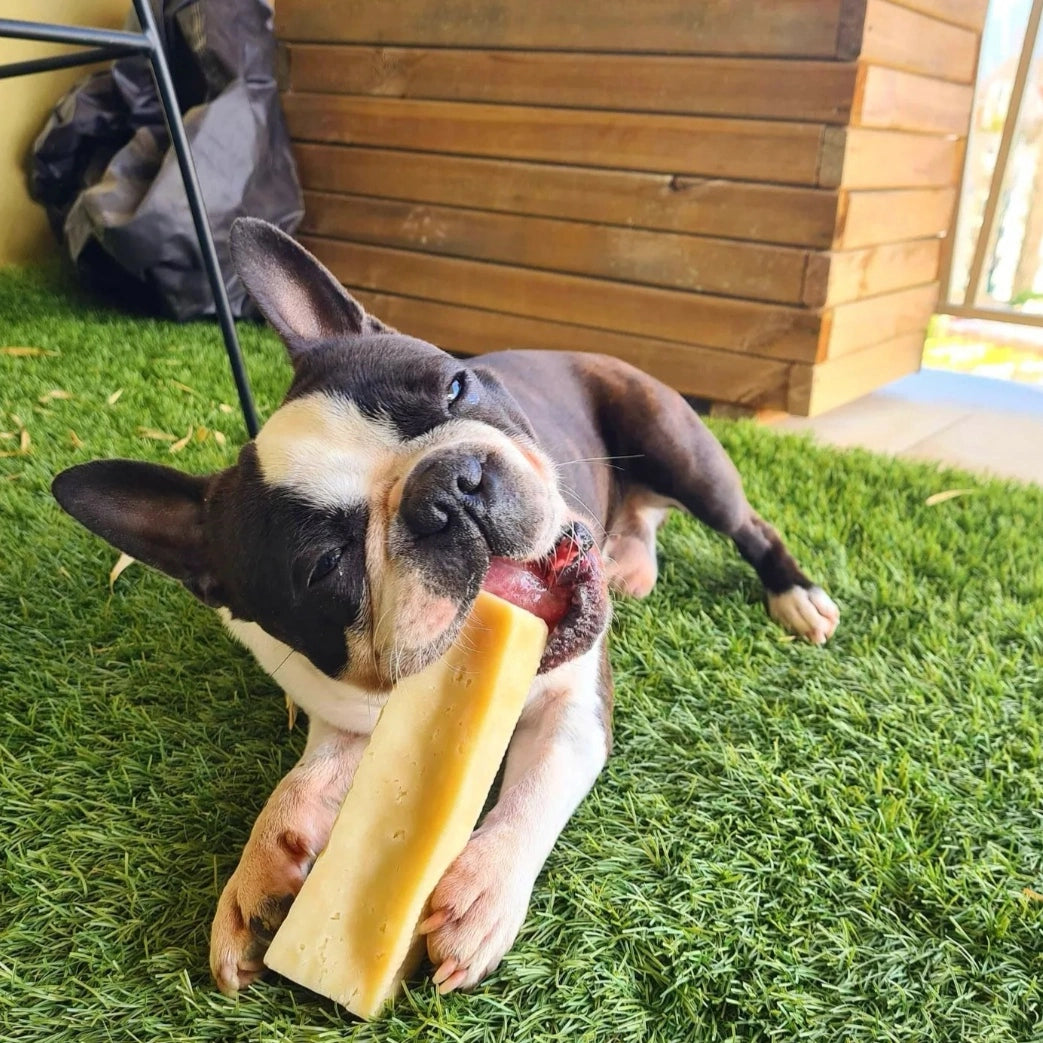 Fromage à mâcher