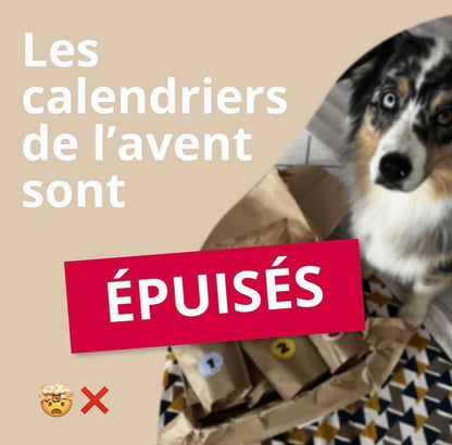 Box Calendrier de l'Avent pour chien XXL - 100% Mastication gourmande naturelle (livraison mi-novembre)