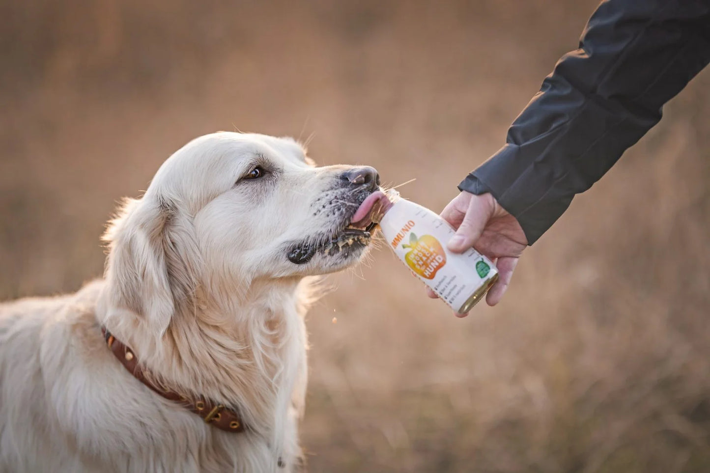 Smoothie Sensitive - Smoothiedog